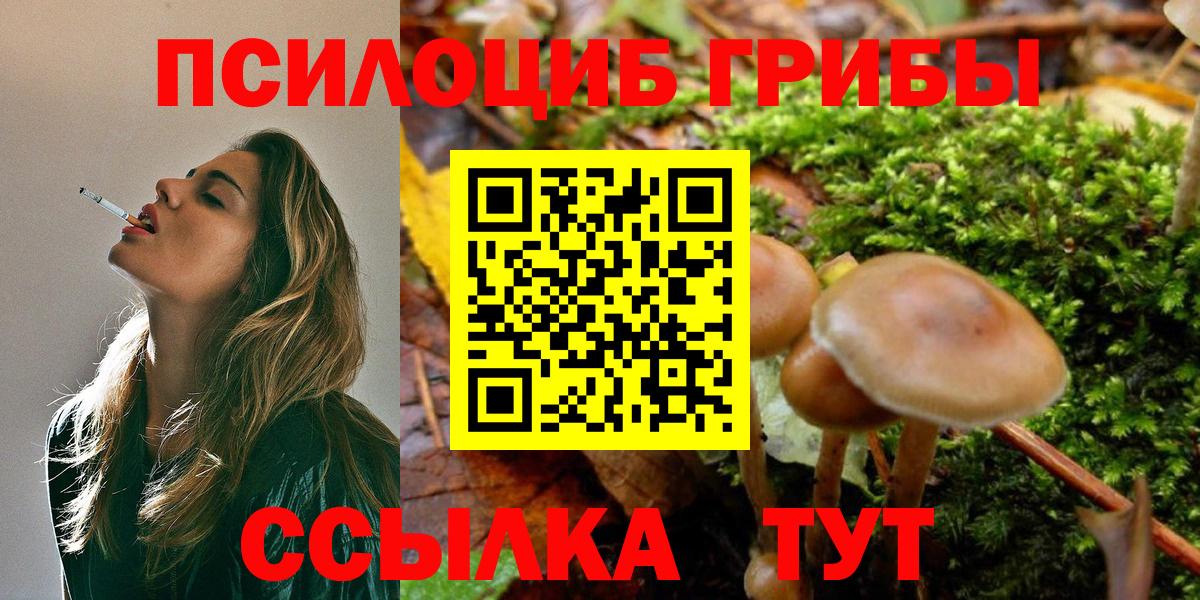 Галлюциногенные грибы MAGIC MUSHROOMS  Вход с VPN  Городец 